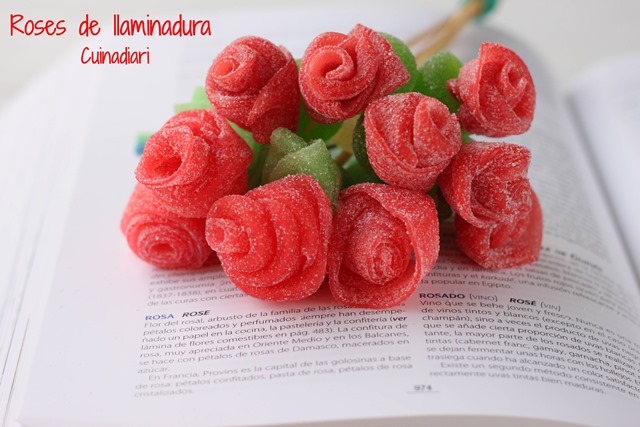 6-5-Roses cintes llaminadura cuinadiari-ppal2