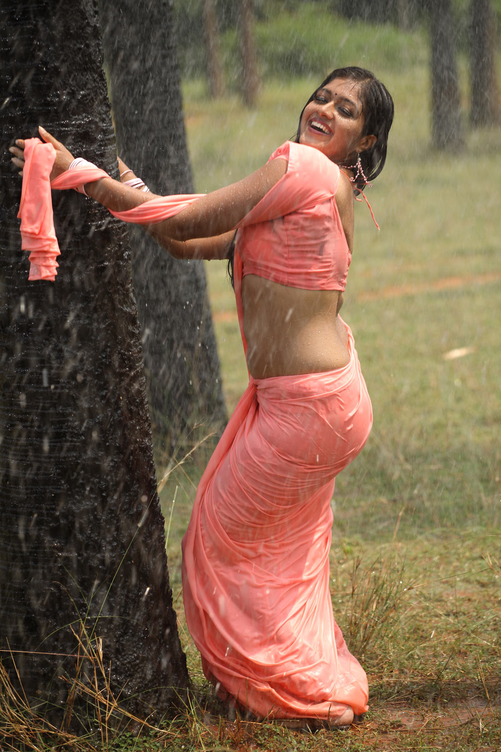 Meghna Raj Hot tight dress wet saree sexy asset show cleavage 