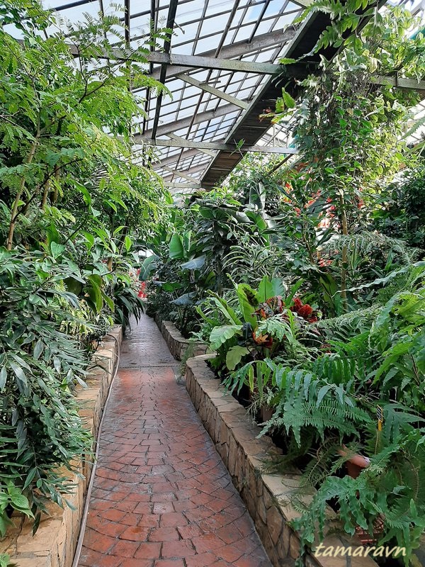 В ботаническом саду