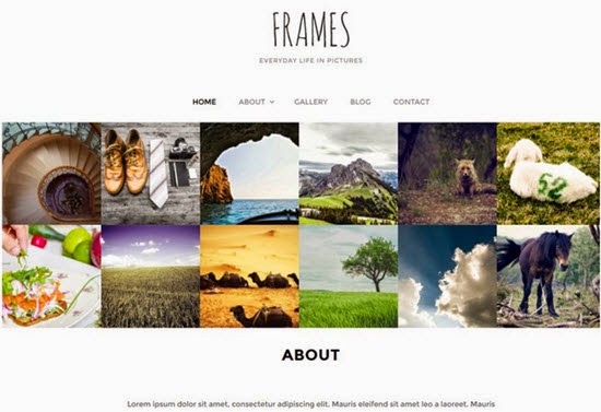 Frames WordPress Theme