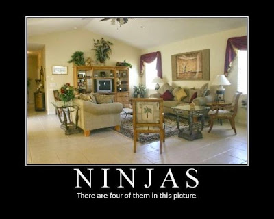 Ninjas Memes