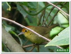 20110626_091241_040_ZhuWei_3