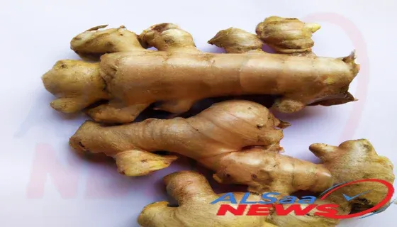 Learn about the beefits of gingerbreed and what happens to body whe consumed daily