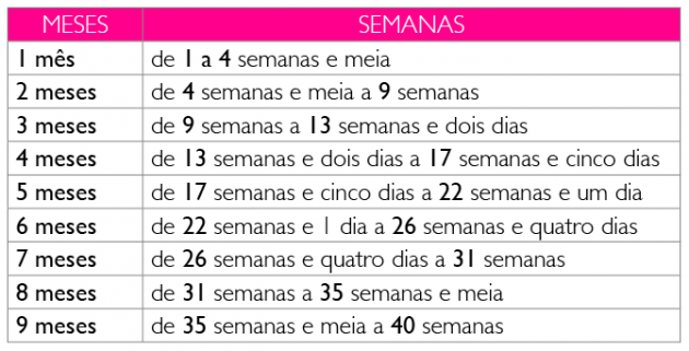 Gravidez Semana a Semana Guia do Bebê