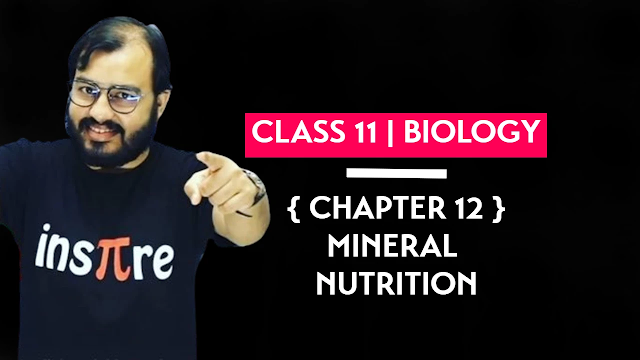 Class 11 Biology Chapter 12 Mineral Nutrition Hand Written Pdf Physics Wallah Notes Download