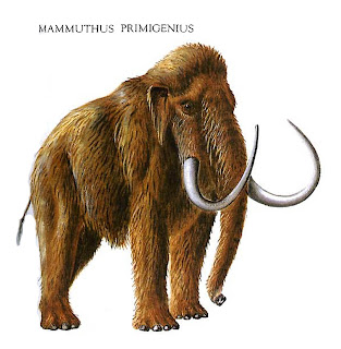 Woolly Mammoth Wallpapers