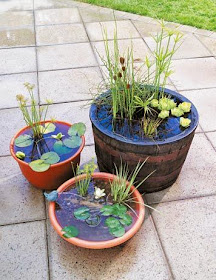 Mini Estanques para Pequeños Jardines