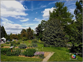 VILLERS-LES-NANCY (54) - Un dimanche de mai au Jardin botanique J.M Pelt