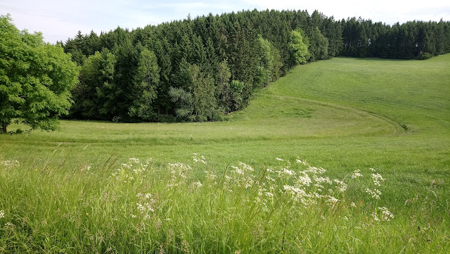 Sauerland wandern Wetter blog Eslohe Homert