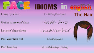 Daily Use English Idioms about Face | Face Englis Idioms | Face Idioms 5