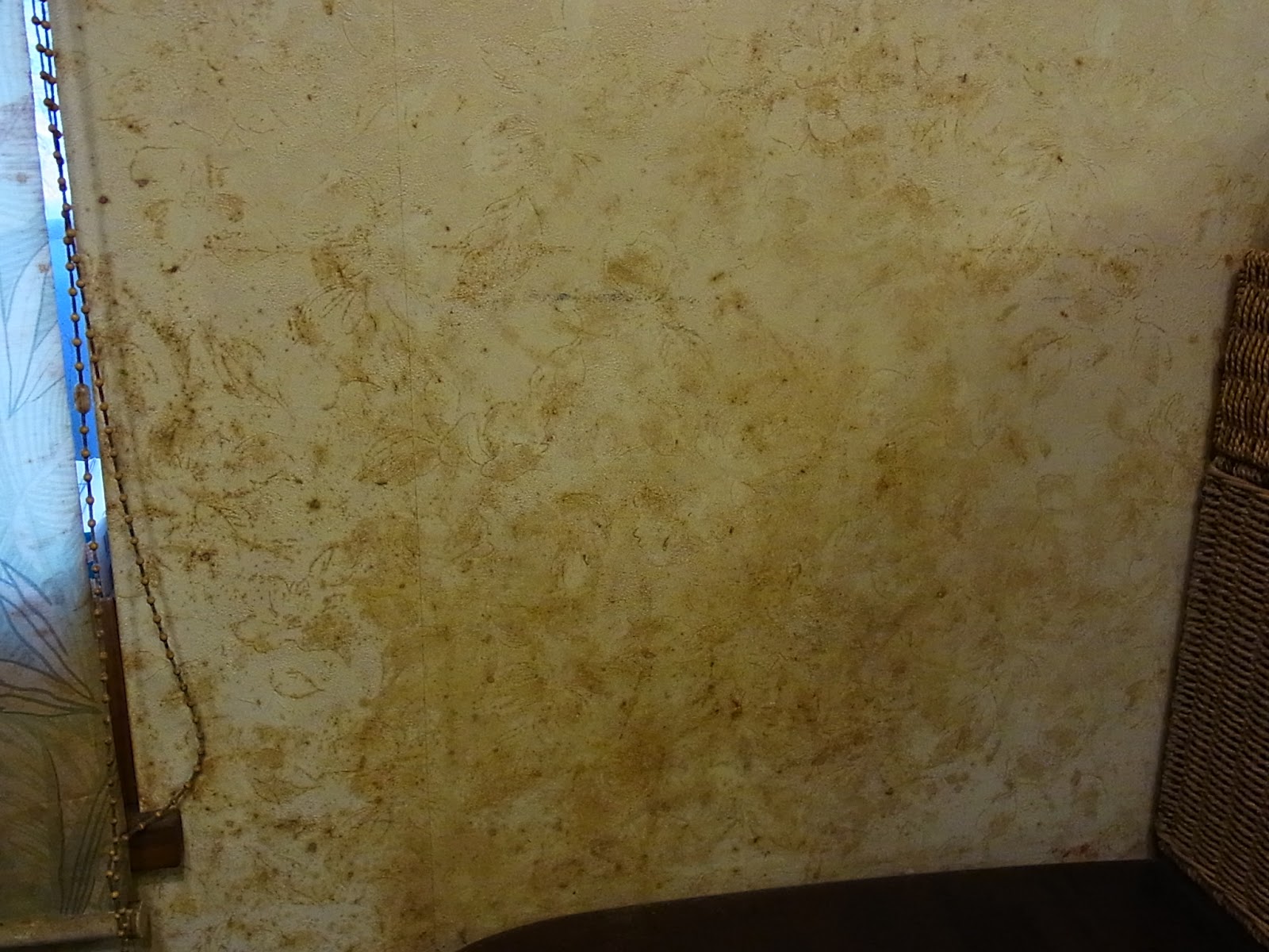 アビリティクリーンで壁の18年分のヤニ取り 汚部屋だらけの家を綺麗に片づけ 掃除するブログ