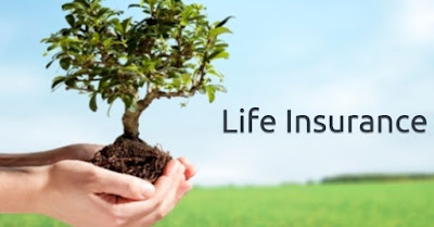 Health Life insurance long term plans 