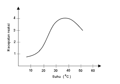 grafik hubungan antara aktivitas enzim katalase dan suhu