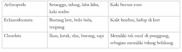 Tabel Filum pada Kingdom Animalia Beserta Contoh dan Karakteristiknya 2