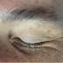 Files From The Brow Whisperer