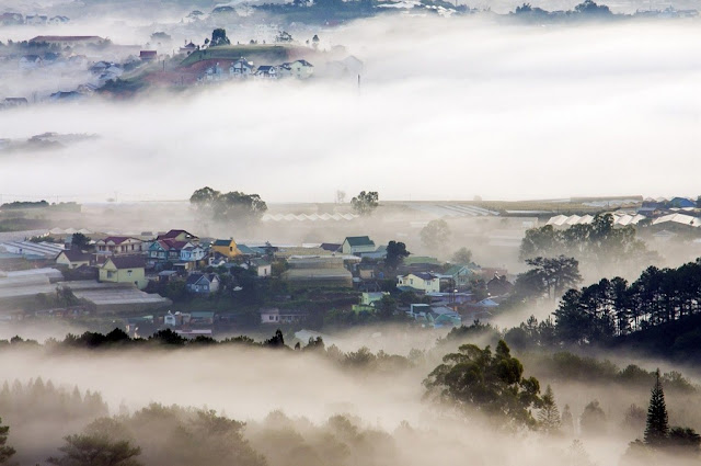 Hình ảnh thành phố Đà Lạt chìm trong sương mù