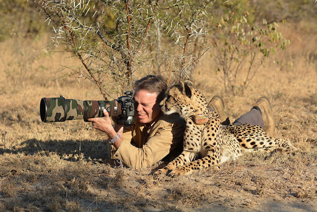 20 fotos mostram que fotografar a animais selvagens pode ser um dos melhores trabalhos do mundo