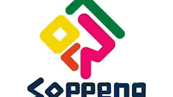Pemkab Soppeng Luncurkan Logo Brand Pariwisata, Ini Makna dan Filosofinya 