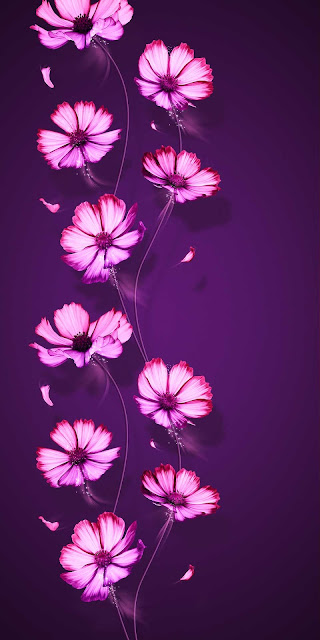 Purple Flowers iPhone Wallpaper 4K is a free high resolution image for Smartphone iPhone and mobile phone.