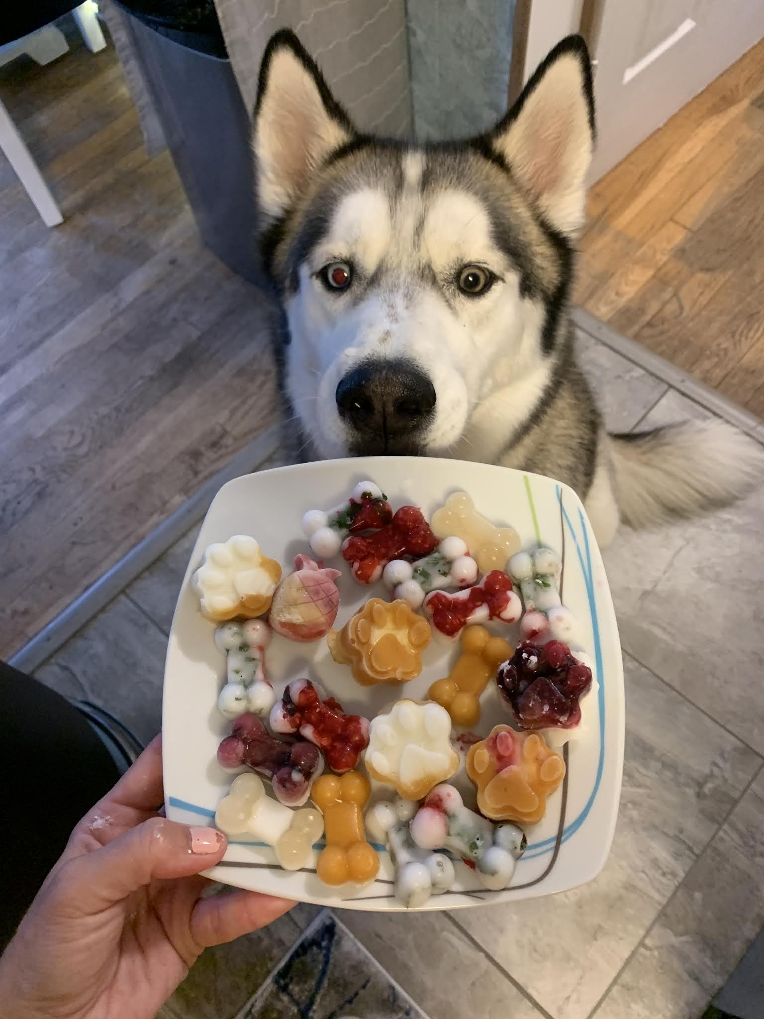 At-Home Dog Treats That You Freeze