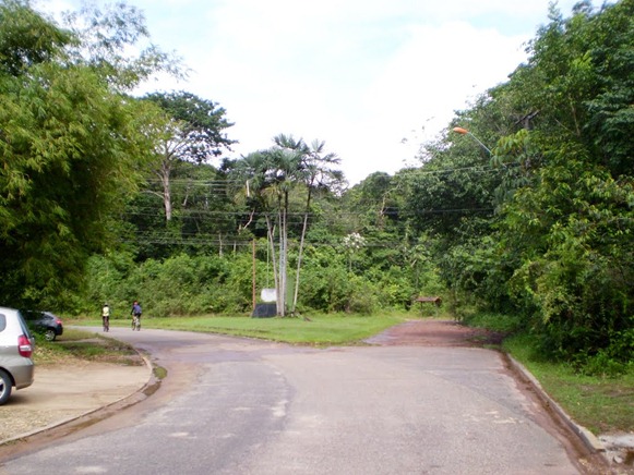 Parque Estadual do Utinga , Belém do Parà, foto: Odilson Sà