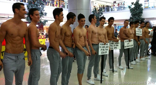 bench models
