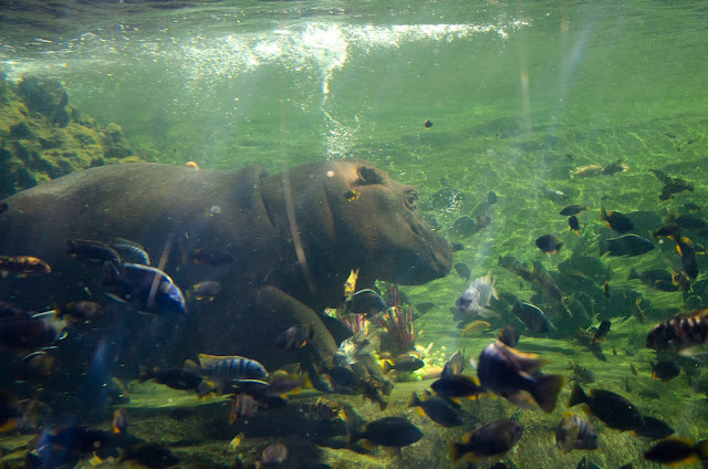 Gori Bioparc