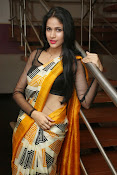 Lavanya Tripathi glam pics in saree-thumbnail-19