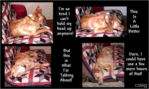 Jada's Nap