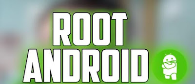 root 