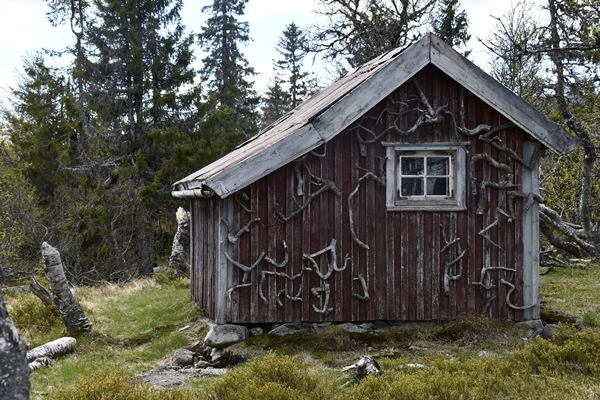 sjusjøen lillehammer luddenhytta