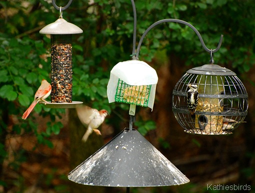 2. feeder-kab