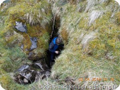 swinhope 012