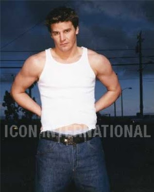 david boreanaz hot