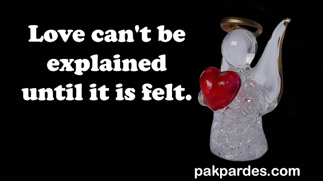 Love can't be explained until it is felt, Love Quotes,