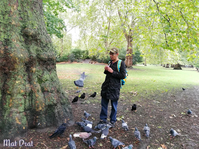 The Mall Buckingham Palace St James Park