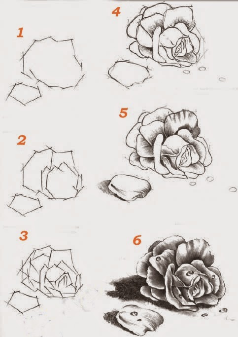  Tuto  Dessin  comment dessiner une rose  tapes par tapes