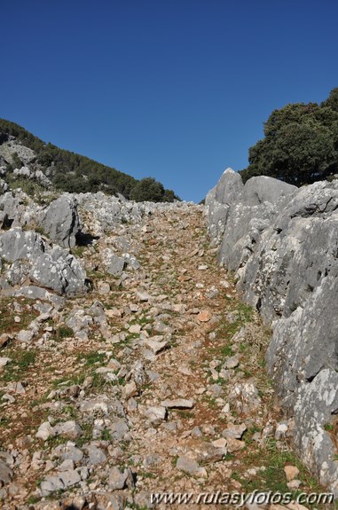 Calzada de Villaluenga a Grazalema