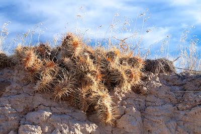 Badlands National Park