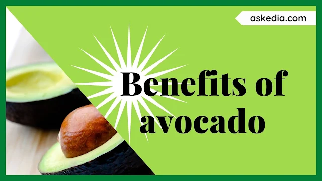 benefits of avocado - Over time, the discovery of benefits of avocado has surprised us all. It gives us healthy skin and hair. Let’s explore is avocado good for you or not.