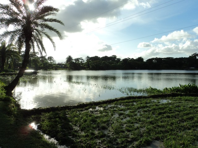 লাউকাঠী ওয়াপদা কলনী দিঘি পটুয়াখালী