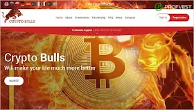 Повышение Crypto Bulls