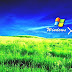 Windows XP - Window Xp Computer