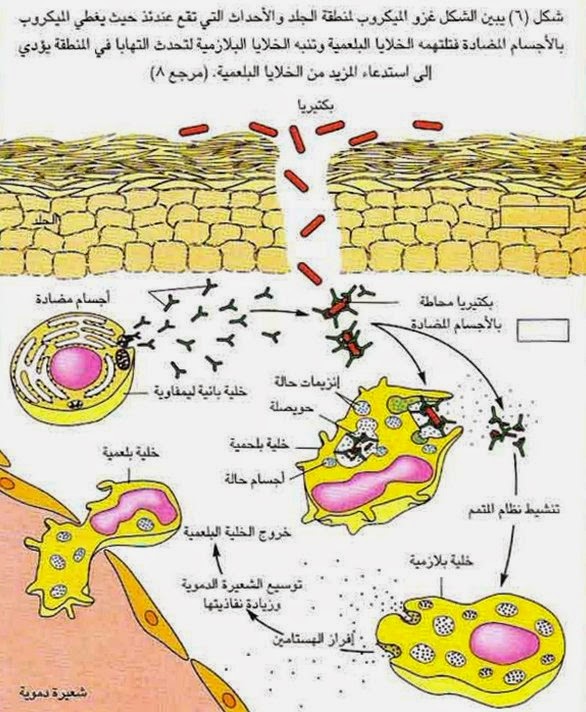 جهاز المناعة-من كل العالم