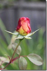 063