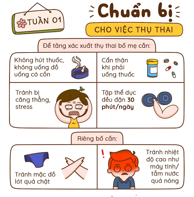 Kiến thức mang thai tuần 1