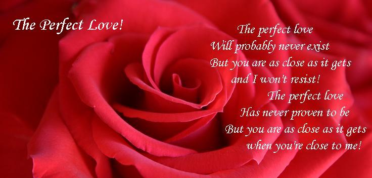 The Perfect Love