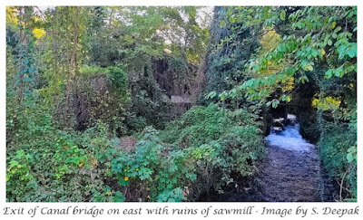 Crossing of the Roggia Maestra canal - Image by Sunil Deepak