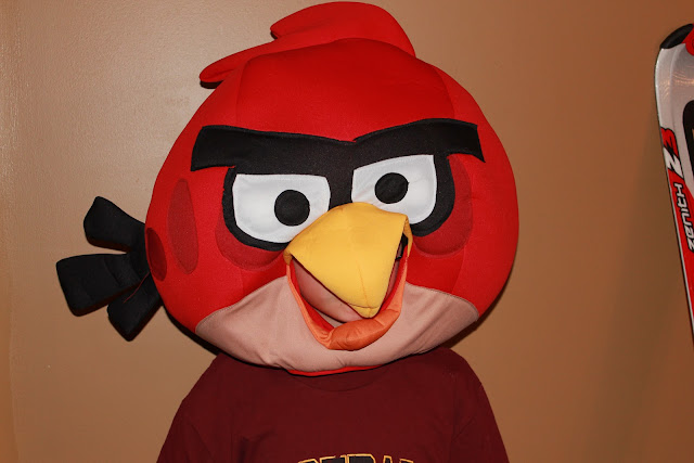 Bird Head Costume