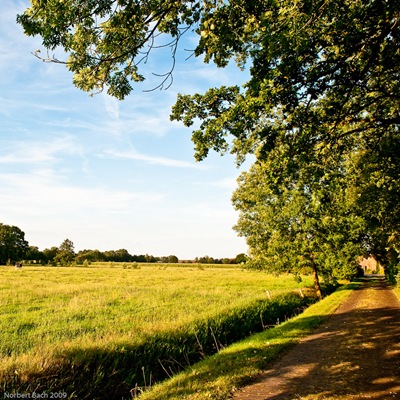 20090819-Mittwoch
